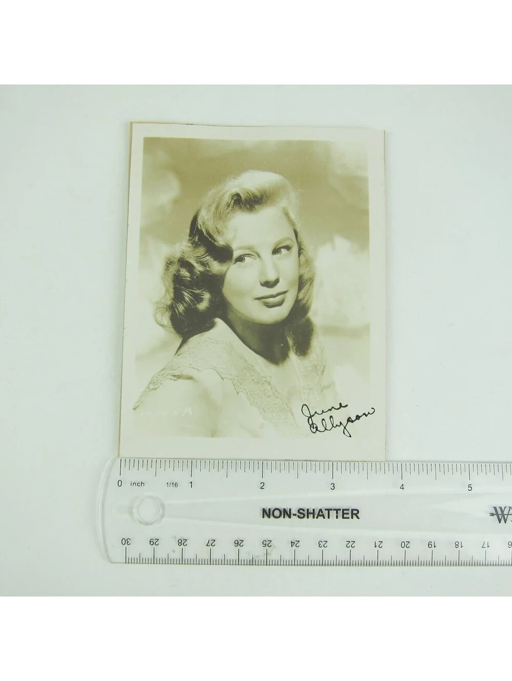 June Allyson Photograph 5x4 Hollywood Actress Portrait Vintage 1940s
